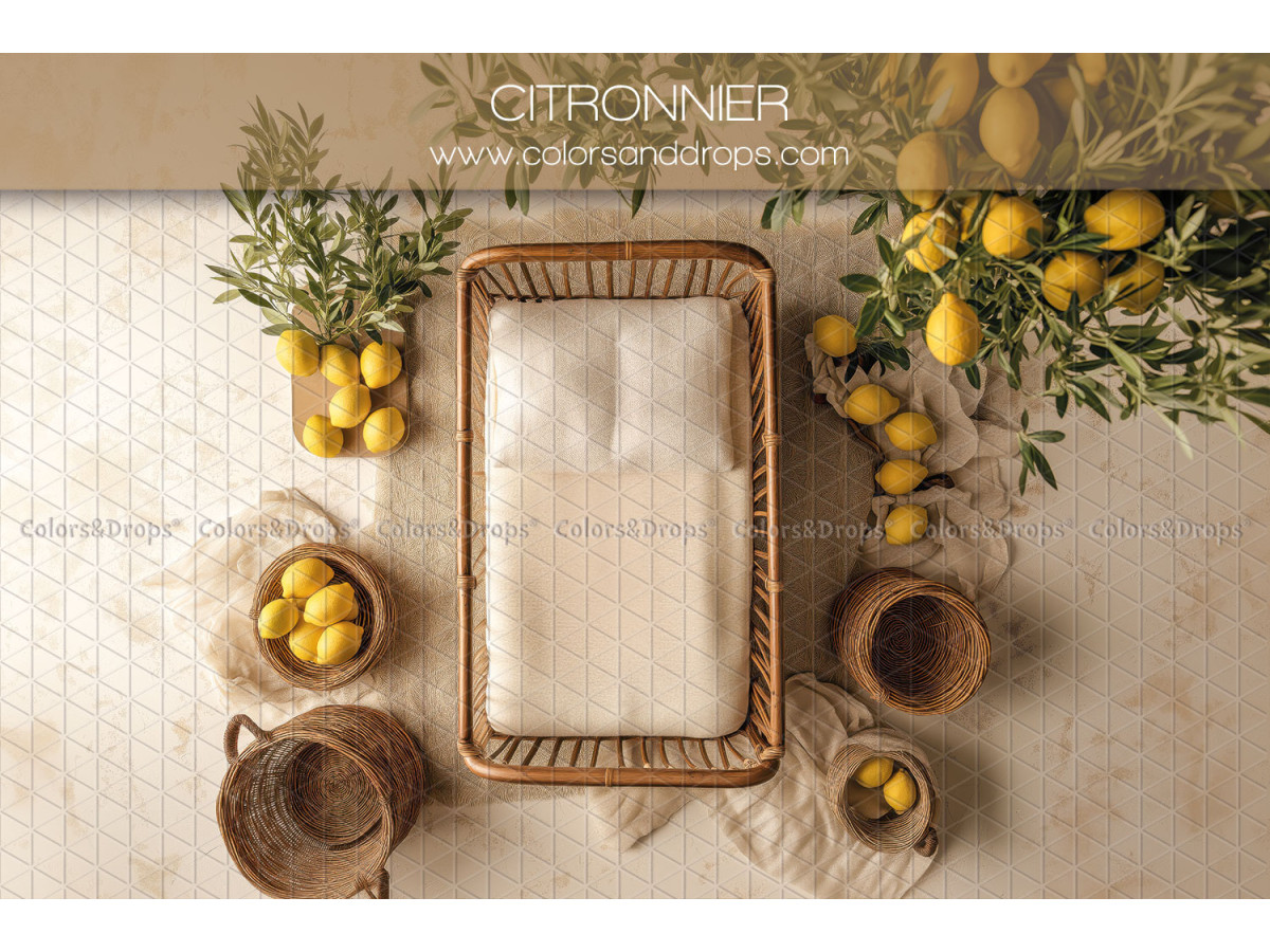 Fond photo nouveau-né Citronnier – panier en osier avec citronniers et paniers | Colors&Drops