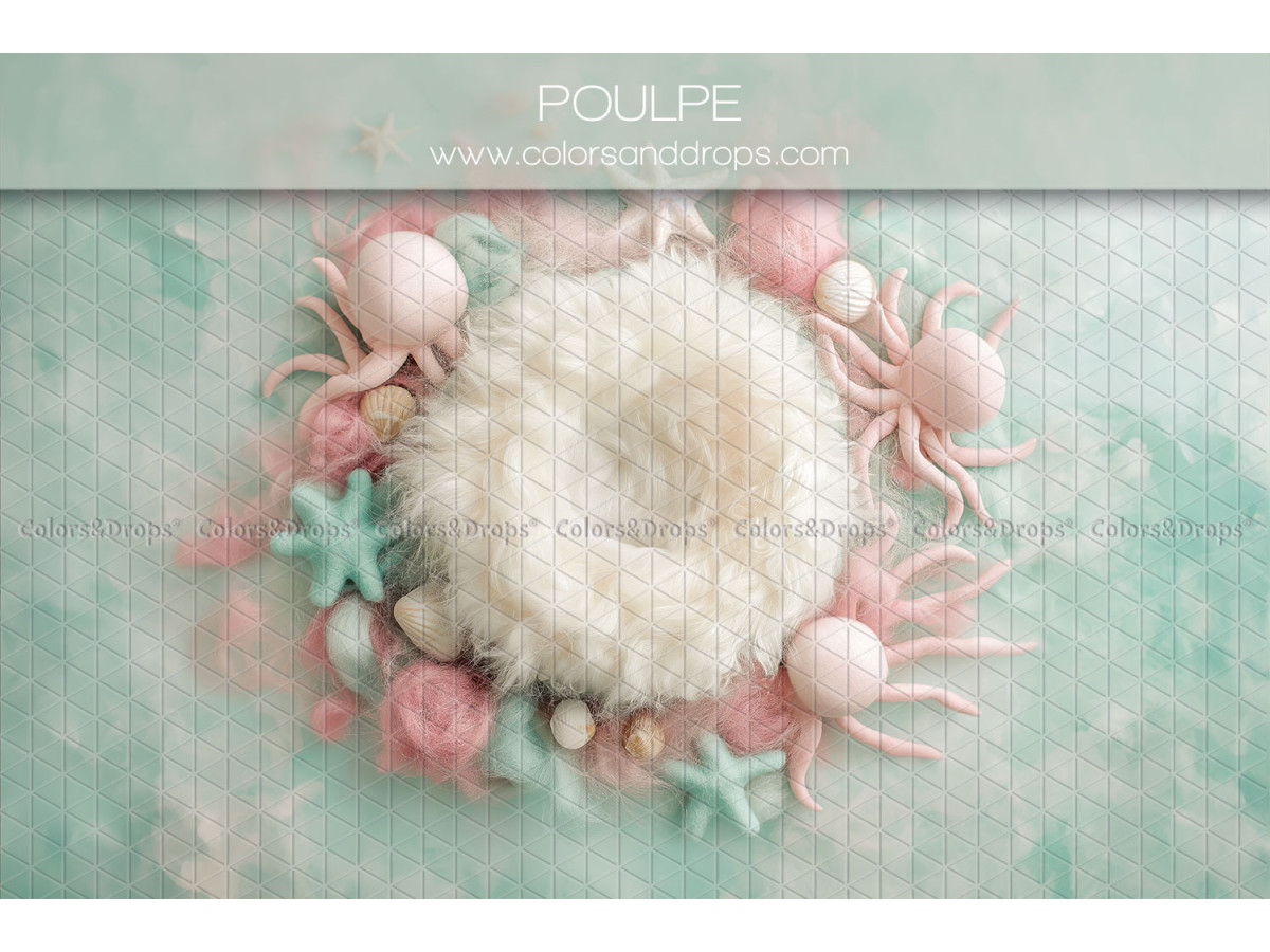 Fond photo nouveau-né Poulpe – nid en fourrure avec pieuvres et coquillages | Colors&Drops