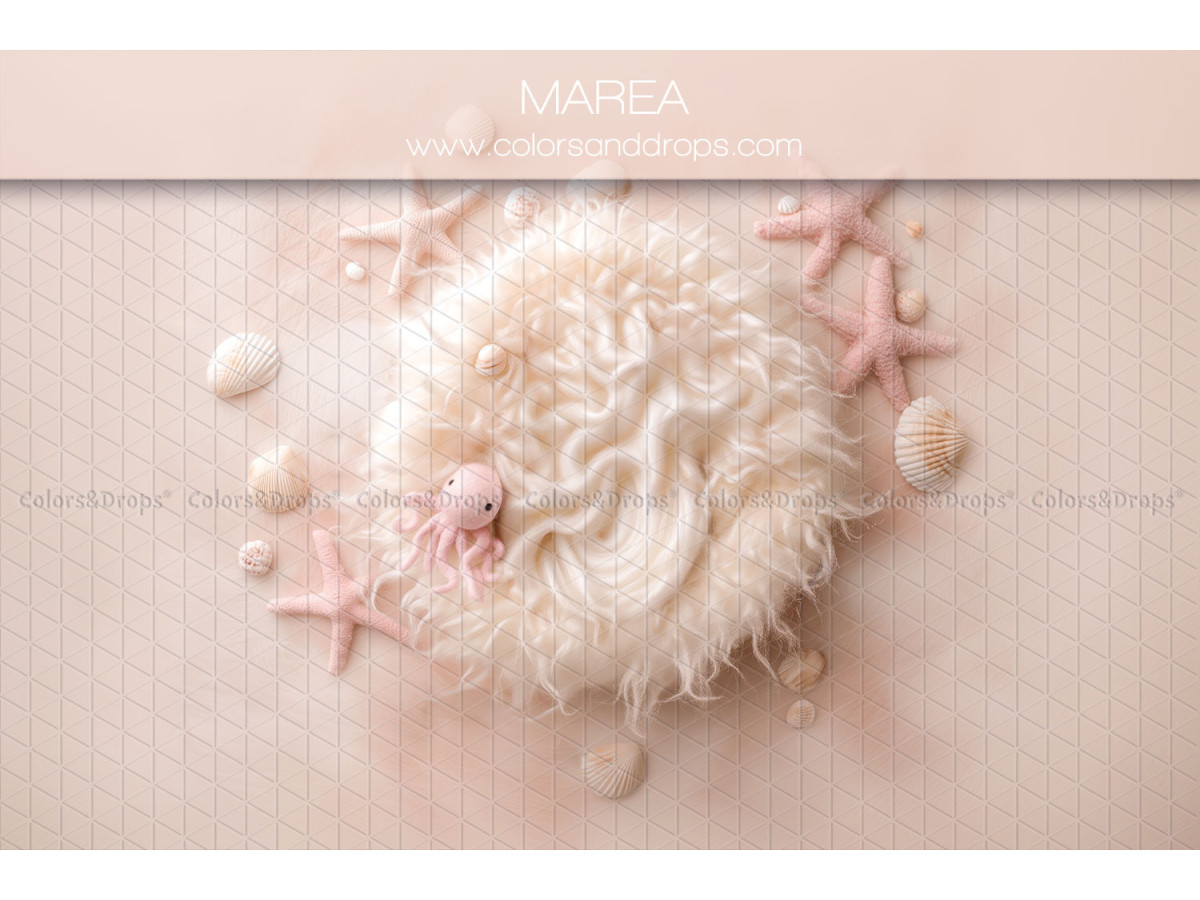 Fond photo nouveau-né Marea – nid en fourrure blanche avec étoiles de mer | Colors&Drops