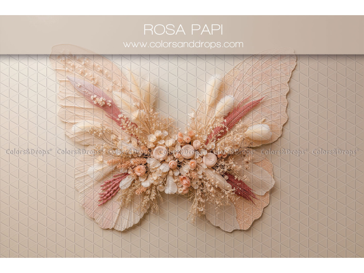 Fond photo nouveau-né Rosapapi – ailes de papillon en fleurs séchées | Colors&Drops