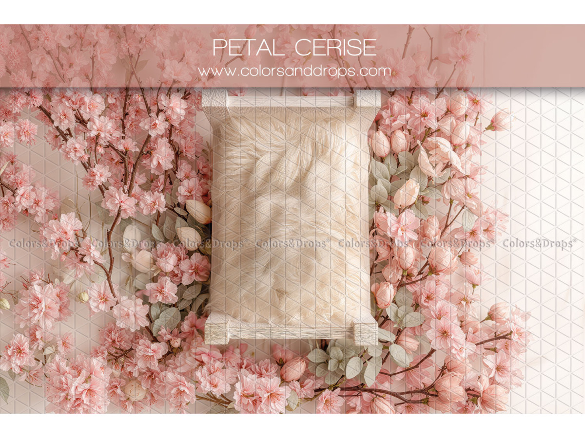 Fond photo nouveau-né Petal Cerise – petit lit blanc avec fleurs de cerisier | Colors&Drops