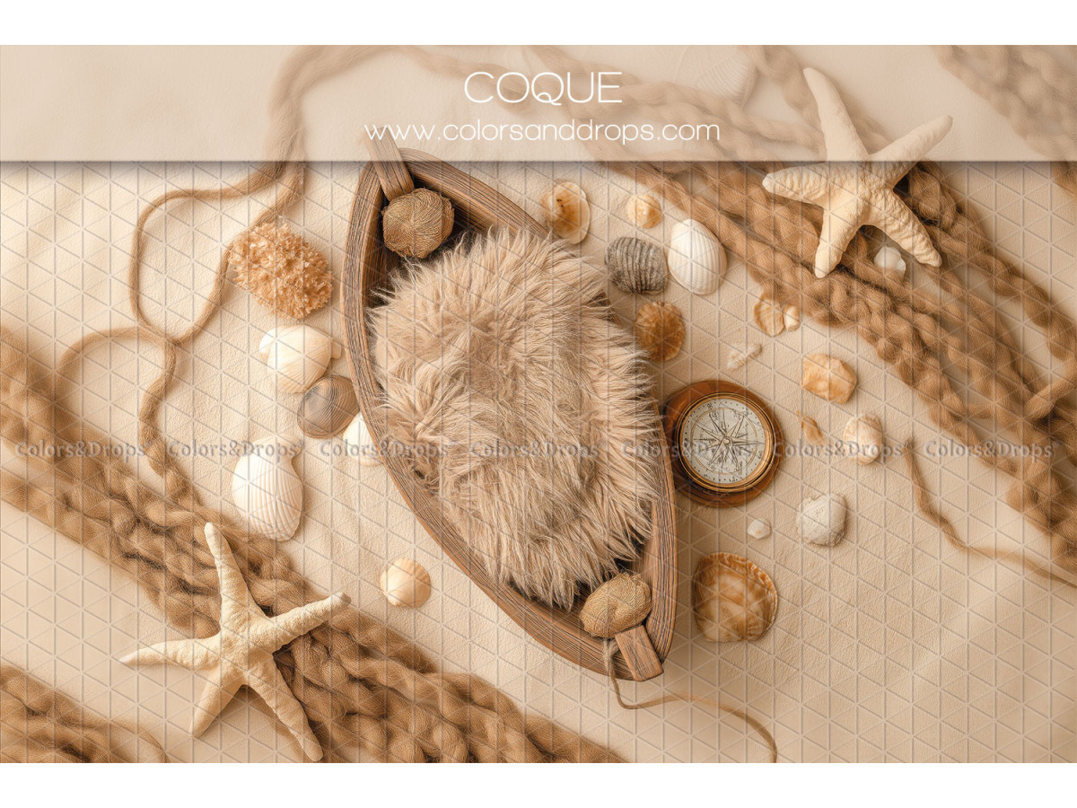 Fond photo nouveau-né Coque – barque en bois avec coquillages et étoiles de mer | Colors&Drops