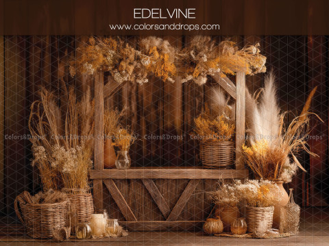 Fond photo bohème Edelvine – grange en bois avec pampa et fleurs séchées | Colors&Drops