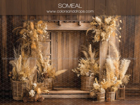 Fond photo bohème Someal – porte en bois avec pampa et fleurs séchées | Colors&Drops