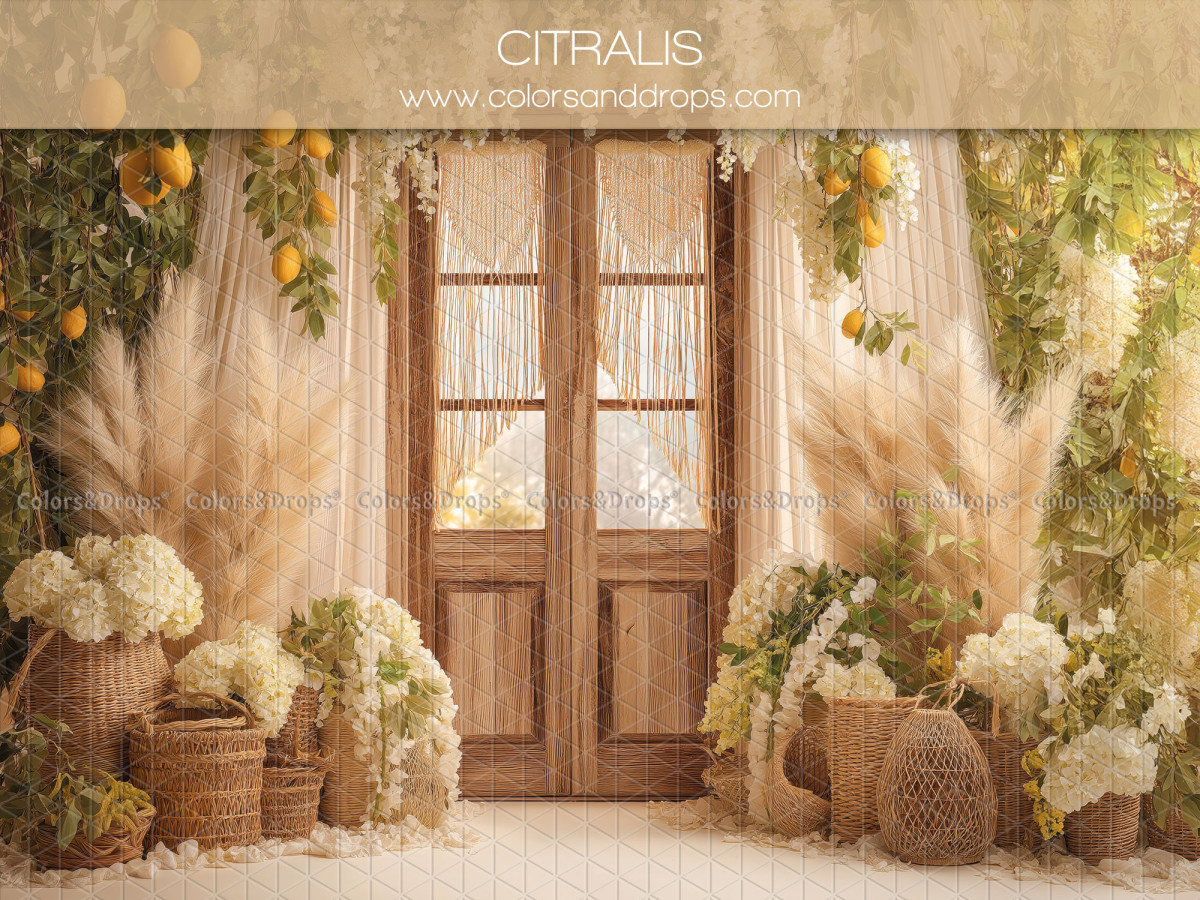 Boho photo backdrop Citralis – wooden glass door with pampas grass and lemons | Colors&Drops