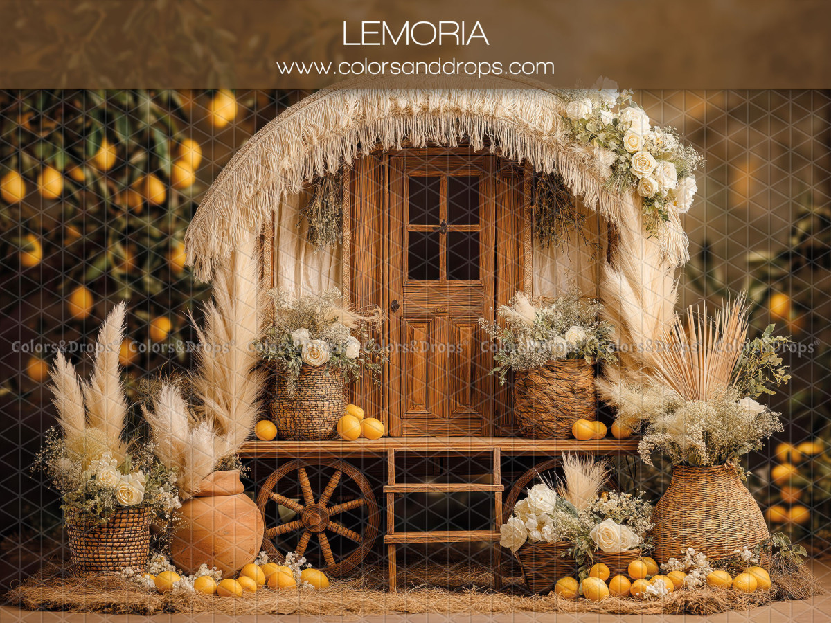 Boho photo backdrop Lemoria – wooden hut with pampas arch and lemons | Colors&Drops