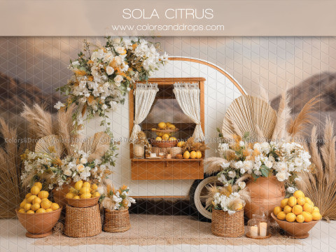 Fond photo bohème Sola Citrus – roulotte blanche avec citrons, pampa et fleurs | Colors&Drops