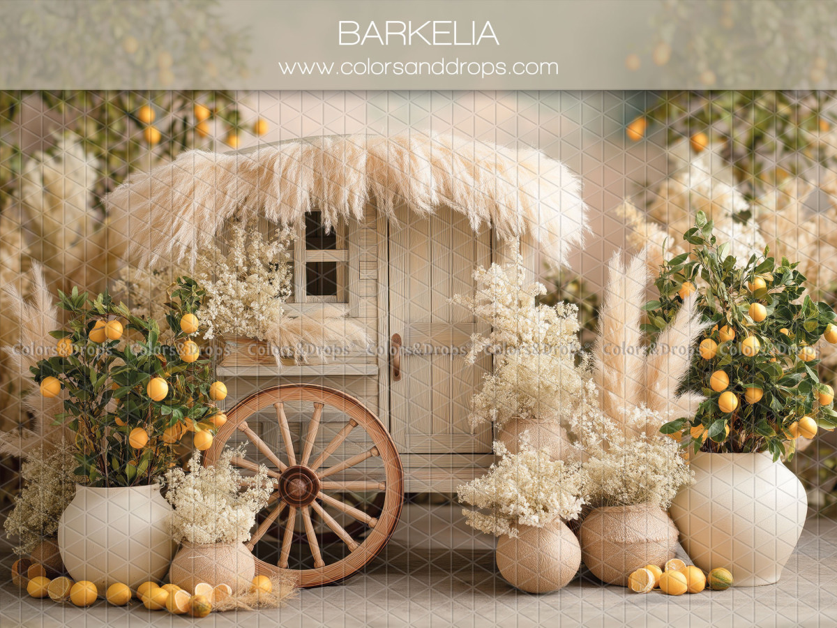 Boho photo backdrop Barkelia – white caravan with lemon trees and wooden wheel | Colors&Drops
