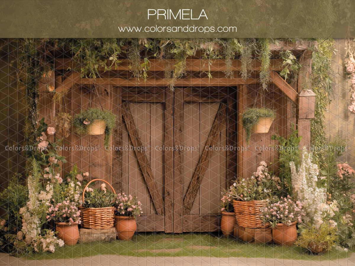 Fondo fotográfico floral Primela – puertas de granero de madera con macetas de flores rosas | Colors&Drops