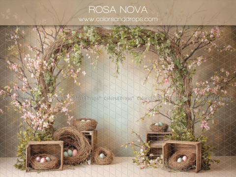 Fond photo fleuri Rosanova – arche de branches fleuries avec nids et caisses | Colors&Drops