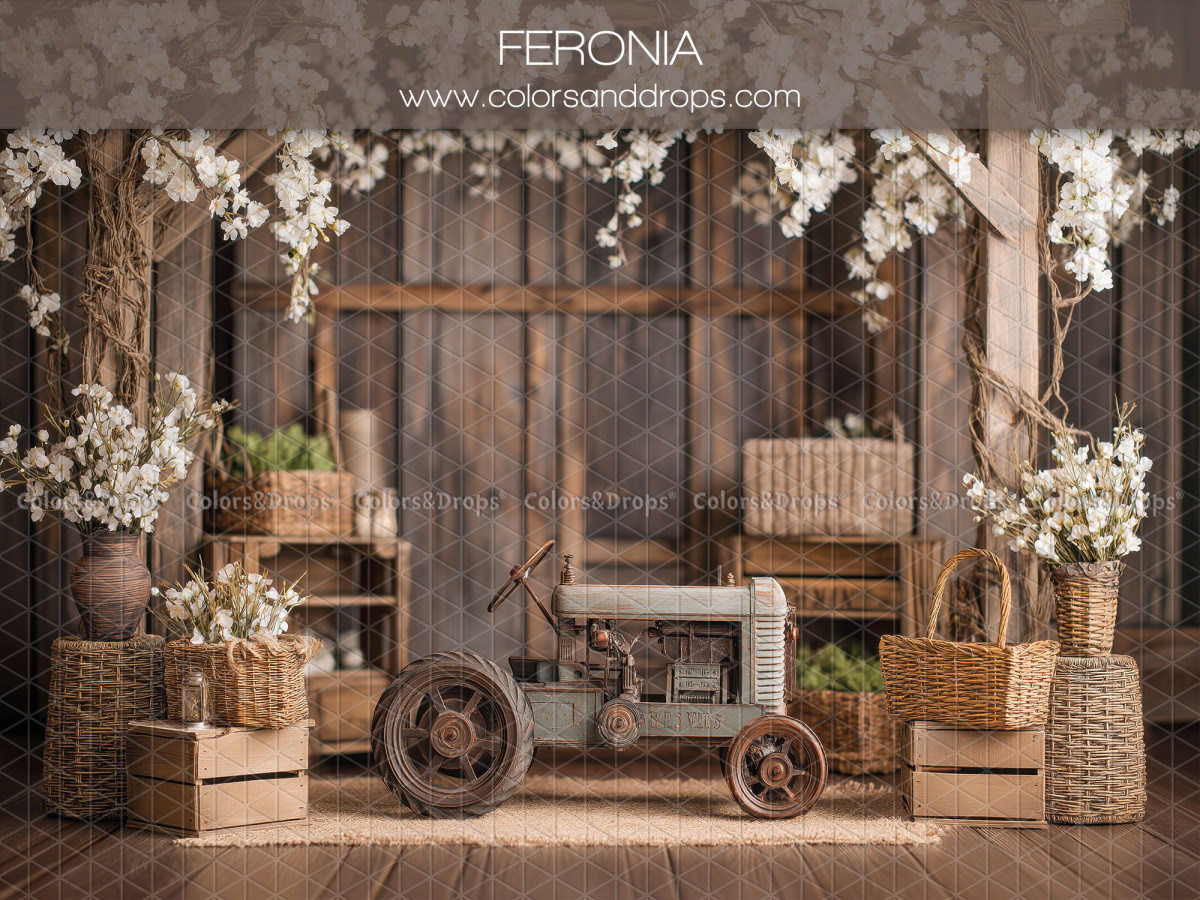 Floral photo backdrop Feronia – wooden barn with tractor and white flowers | Colors&Drops
