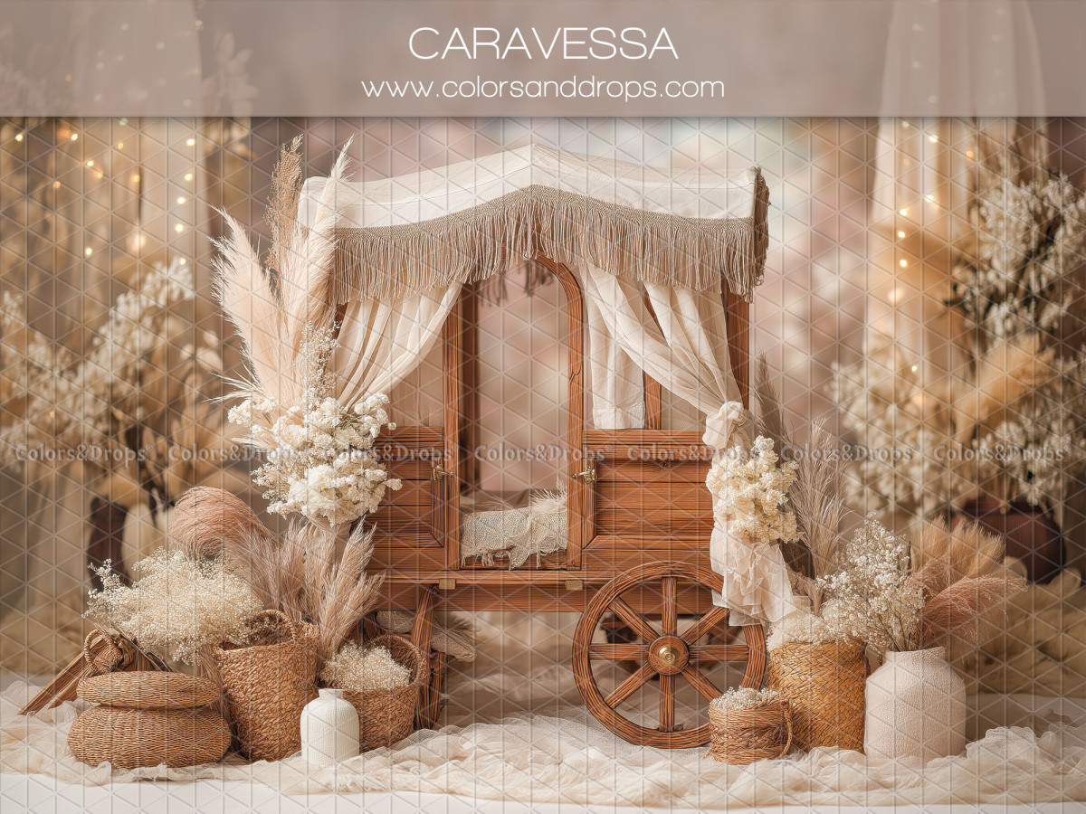 Boho photo backdrop Caravessa – wooden wagon with pampas grass and macramé | Colors&Drops