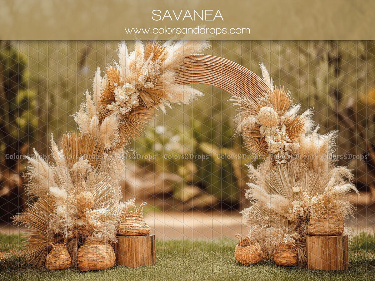 Fond photo bohème Savanea – arche de pampa sur pelouse avec paniers | Colors&Drops