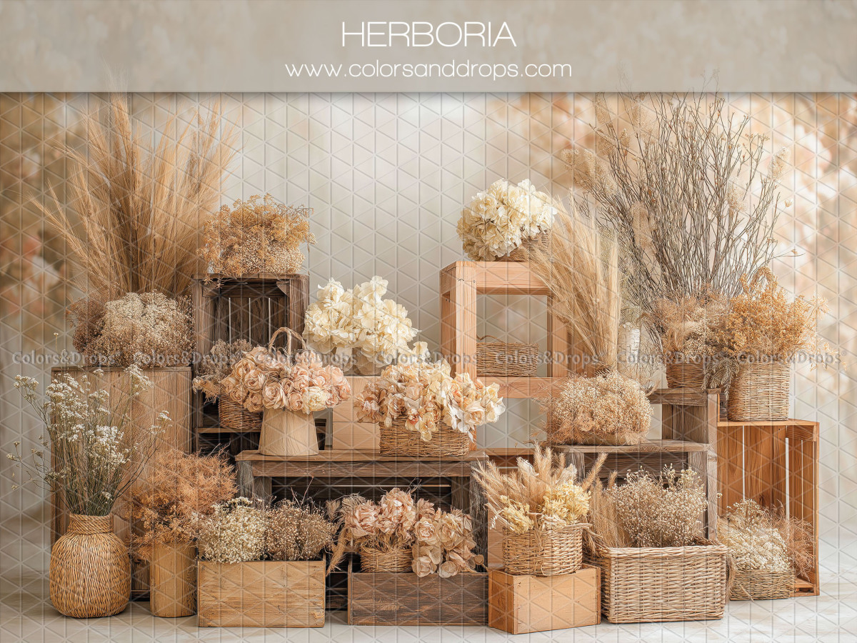 Boho photo backdrop Herboria – wooden crates with dried flowers and vases | Colors&Drops