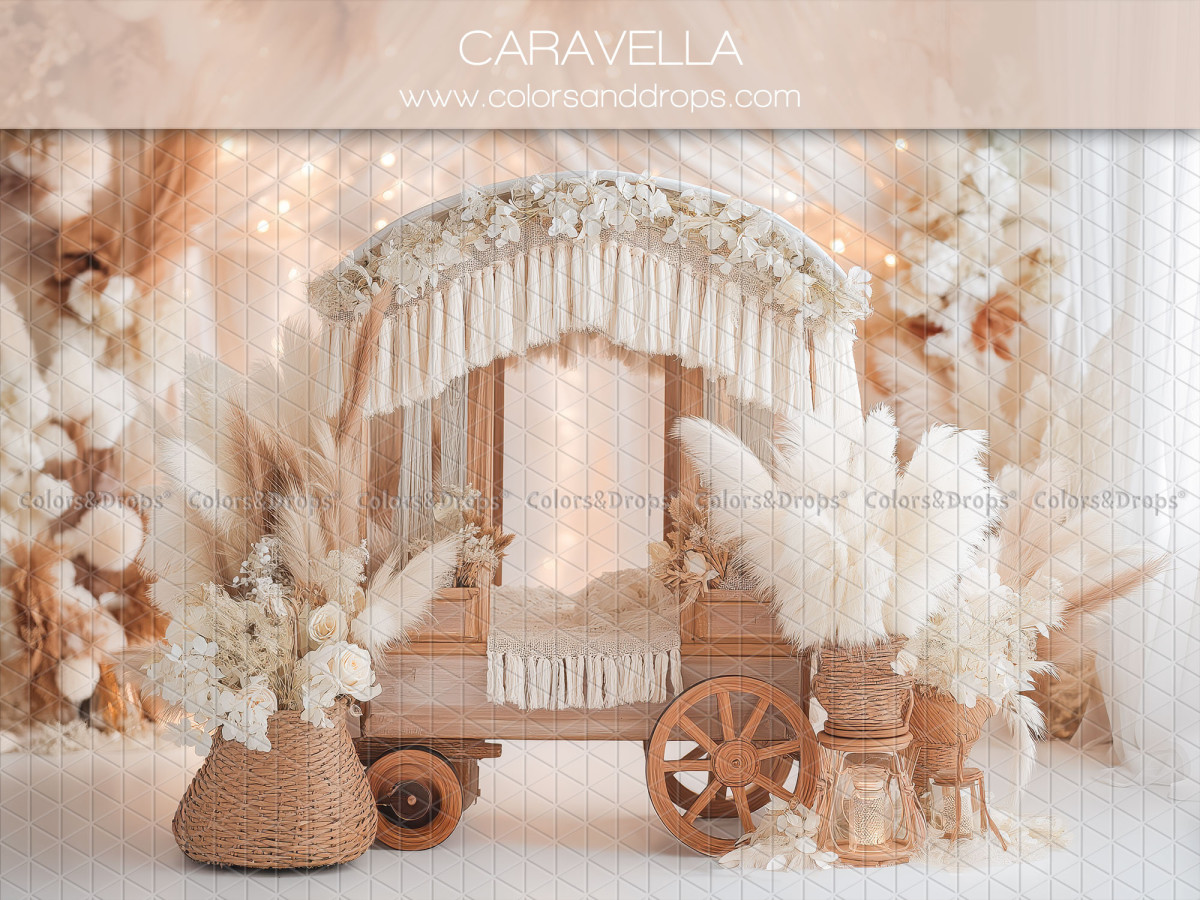 Boho photo backdrop Caravella – wooden cart with macramé and white pampas grass | Colors&Drops