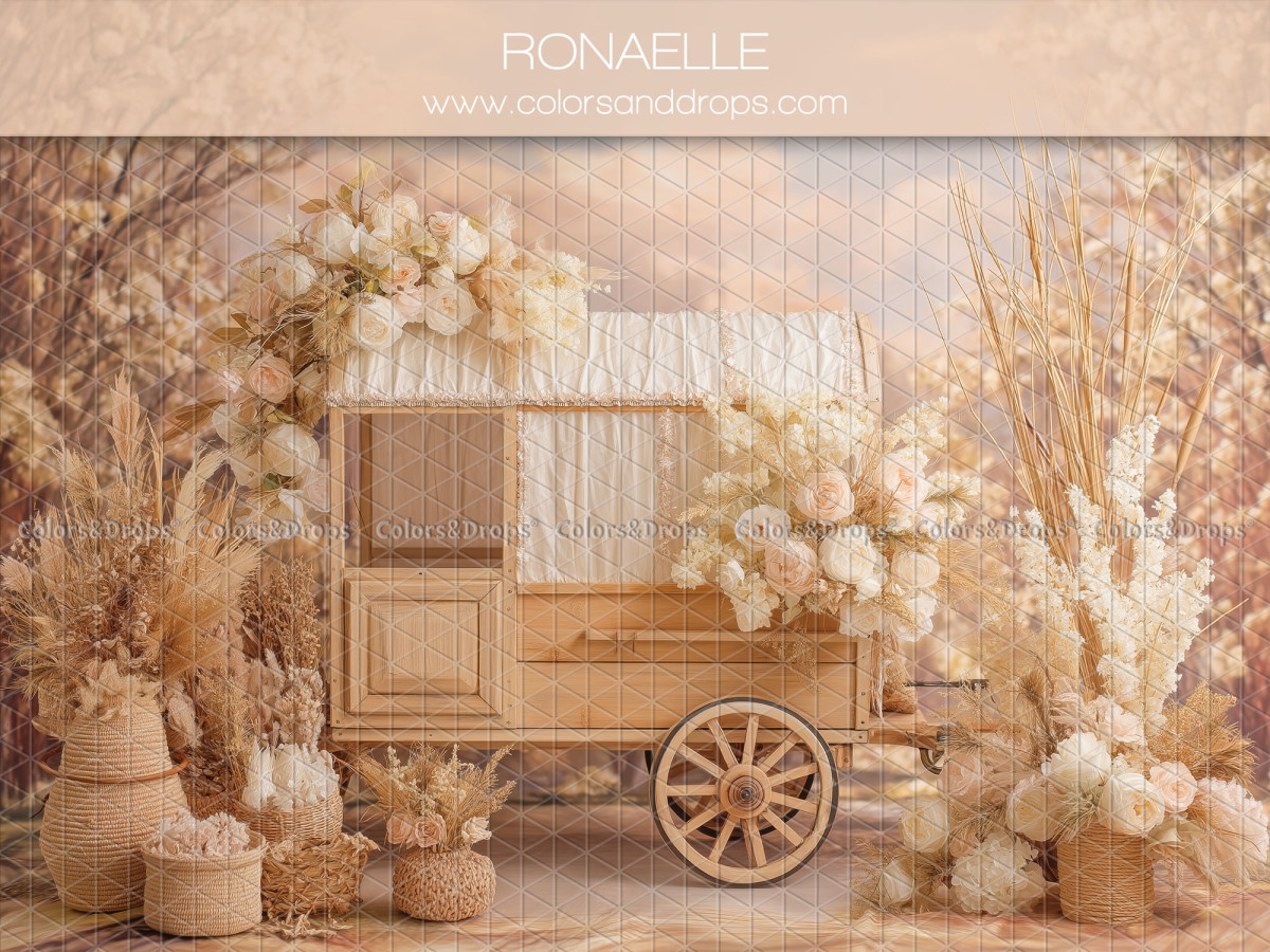 Fond photo bohème Ronaelle – roulotte en bois avec fleurs séchées et pampa | Colors&Drops