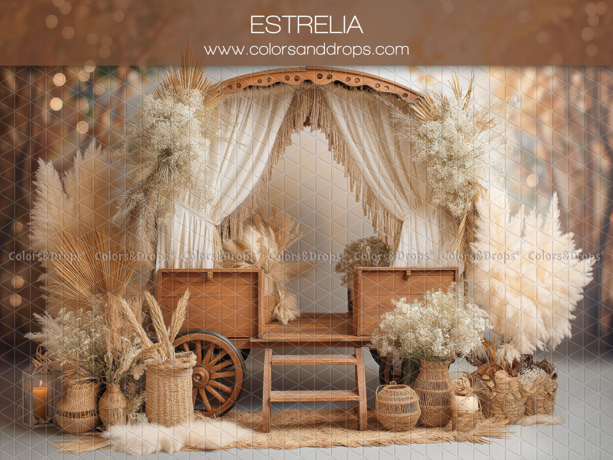 Boho photo backdrop Estrelia – wooden cart with white curtains and pampas grass | Colors&Drops
