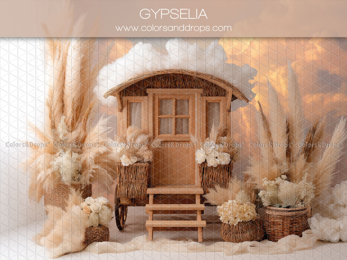 Fondo fotográfico boho Gypselia – caravana de madera con escalera y pampa | Colors&Drops