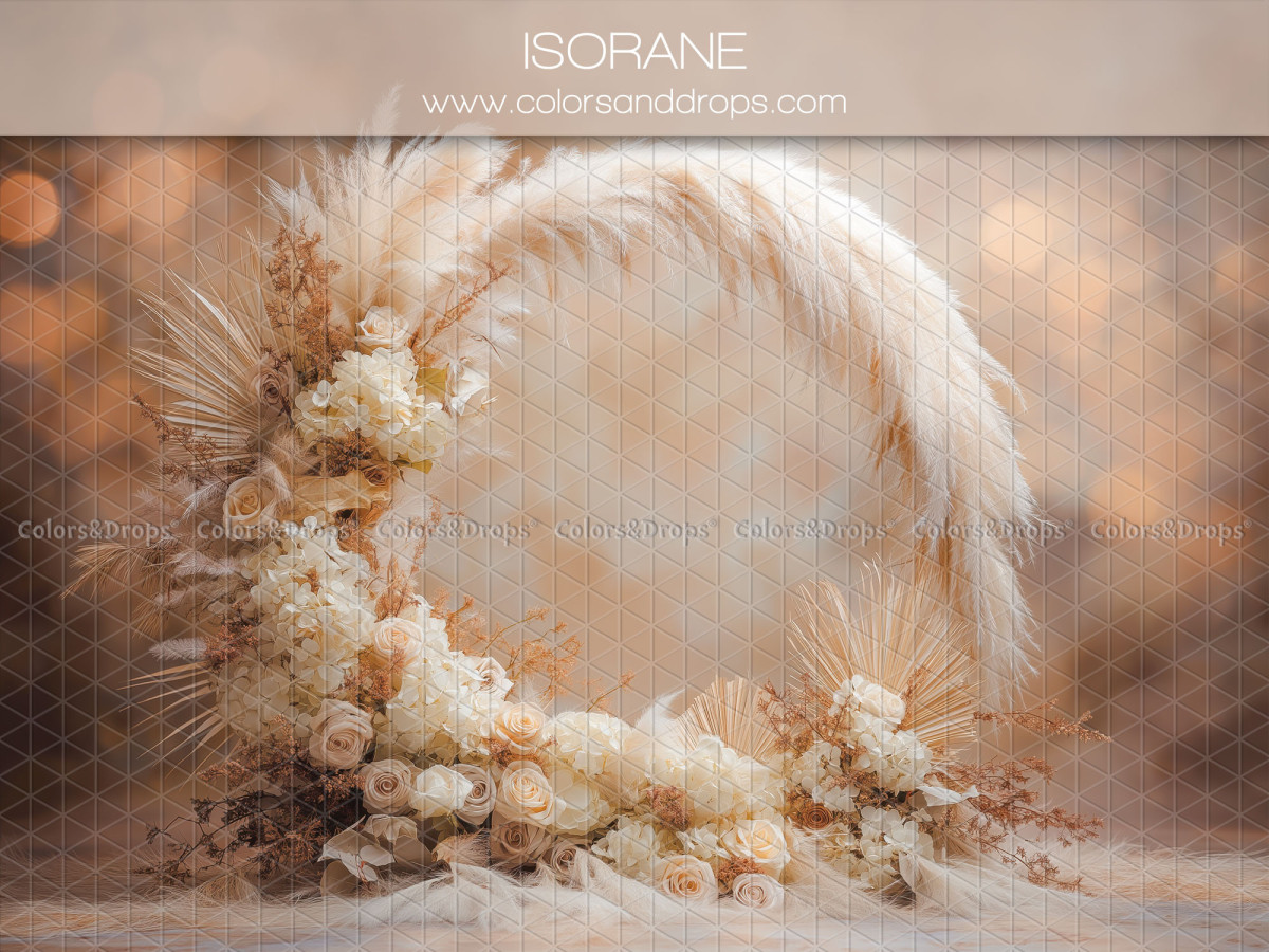 Fond photo bohème Isorane – arche ronde de fleurs blanches et pampa | Colors&Drops