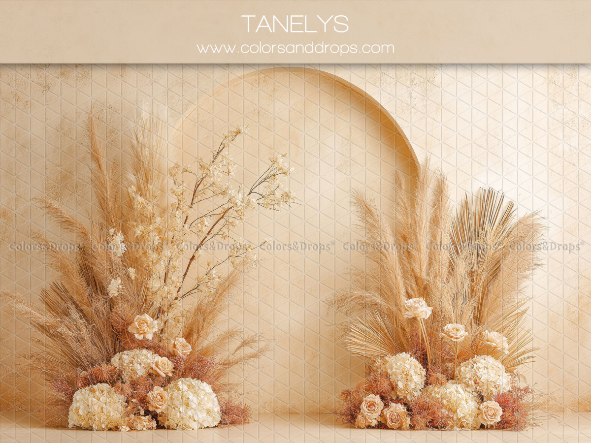 Fond photo bohème Tanelys – niche voûtée beige avec bouquets de pampa | Colors&Drops