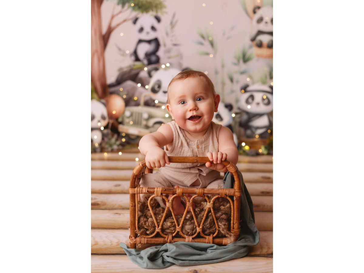 Baby & cake smash photo backdrop Pandi Panda – illustrated pandas with tree, hot-air balloon and jeep on pink | Colors&Drops