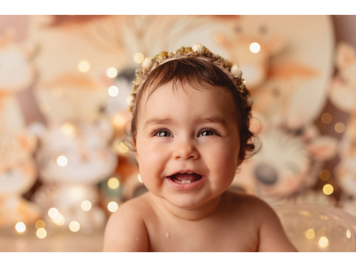 Baby & cake smash photo backdrop Safary Friend – savanna animals in front of a setting sun | Colors&Drops