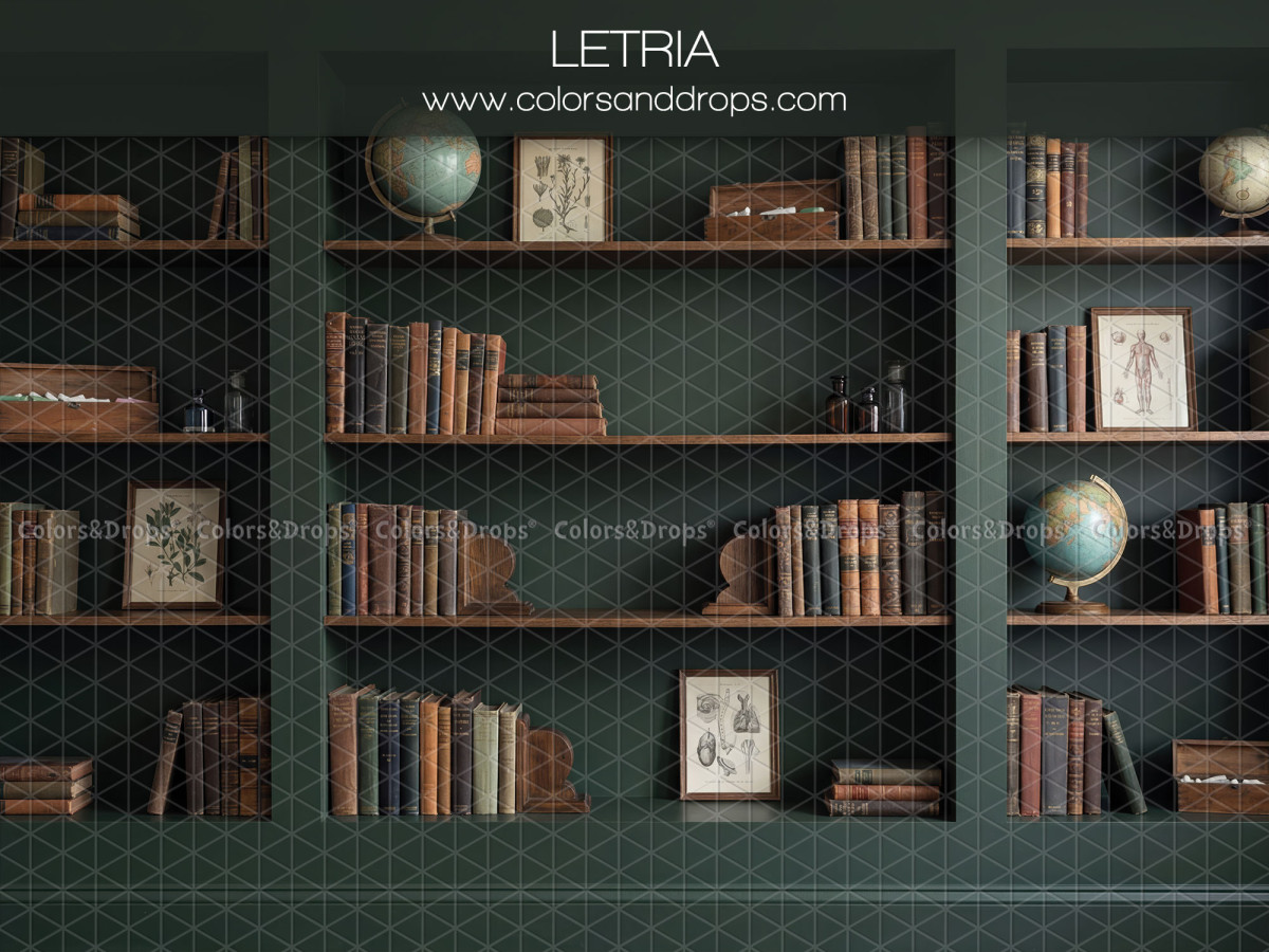 Fondo fotográfico escolar Letria – librería verde oscuro con libros y globo terráqueo | Colors&Drops