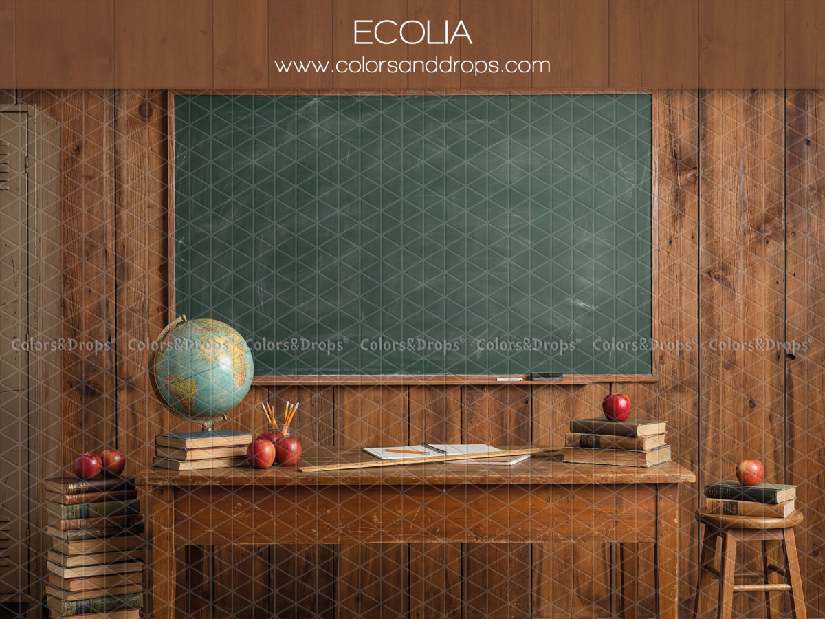 School portrait photo backdrop Ecolia – green board on wooden wall with desk and globe | Colors&Drops