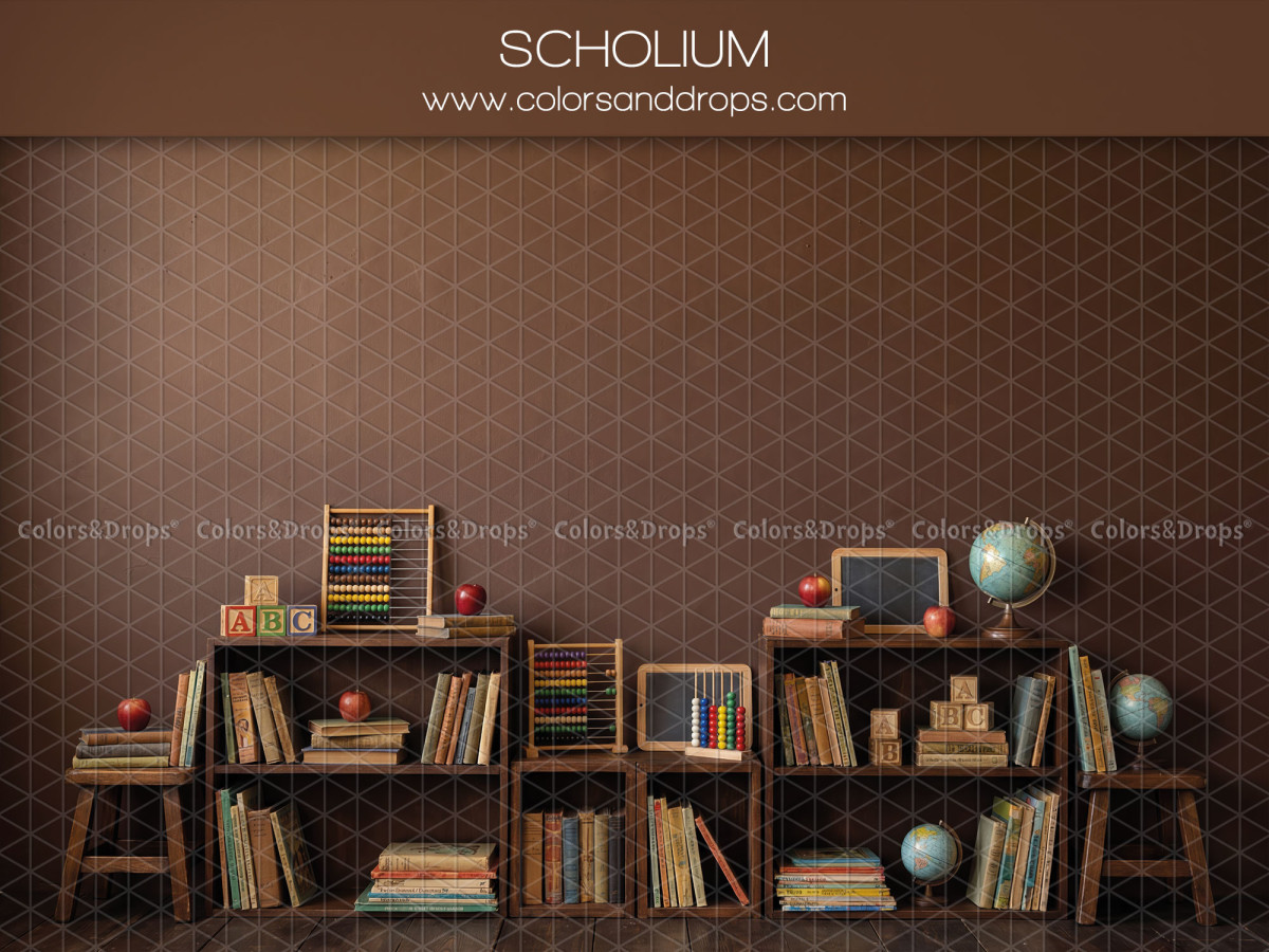 Fond photo scolaire Scholium – mur en planches avec étagères d'école et livres | Colors&Drops