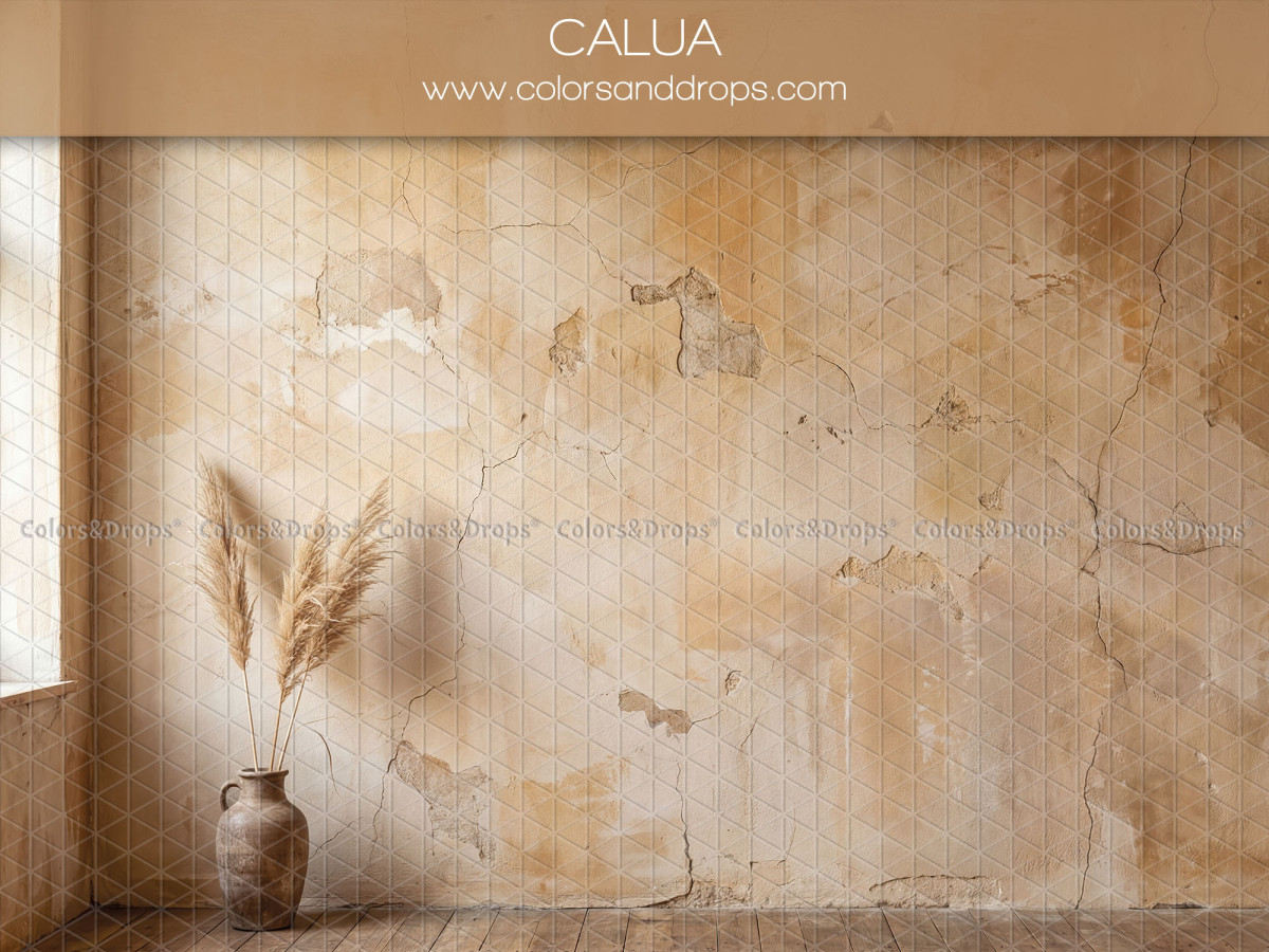 Boho photo backdrop Calua – crumbling ochre wall with pampas vase | Colors&Drops