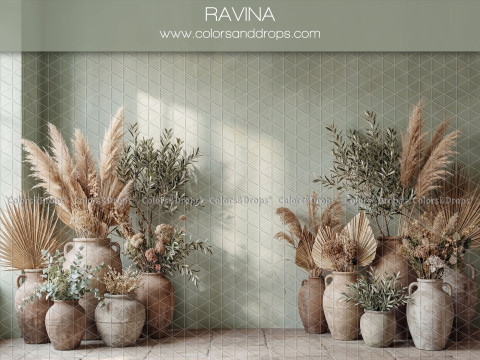 Fond photo bohème Ravina – mur vert sauge avec pampa et jarres en terre | Colors&Drops