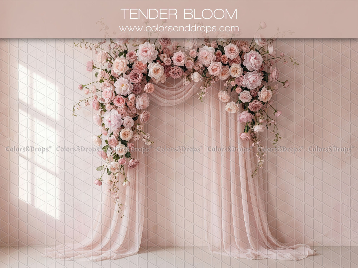 Fondo fotográfico boho Tender Bloom – arco de rosas rosas con visillo en pared rosa | Colors&Drops