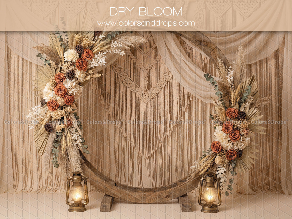 Fondo fotográfico boho Dry Bloom – arco redondo de madera florido ante macramé | Colors&Drops