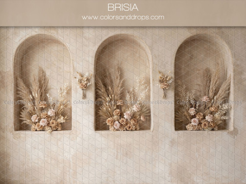 Fond photo bohème Brisia – trois niches voûtées beiges avec bouquets de pampa | Colors&Drops