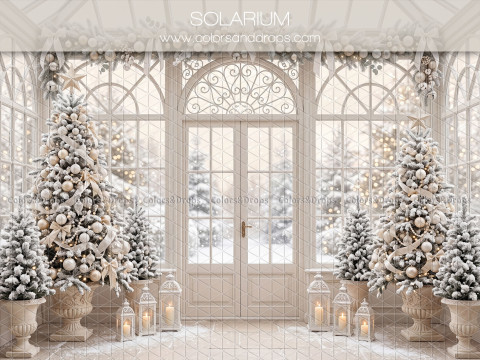 Fond photo de Noël Solarium – solarium blanc avec sapins enneigés et porte vitrée | Colors&Drops