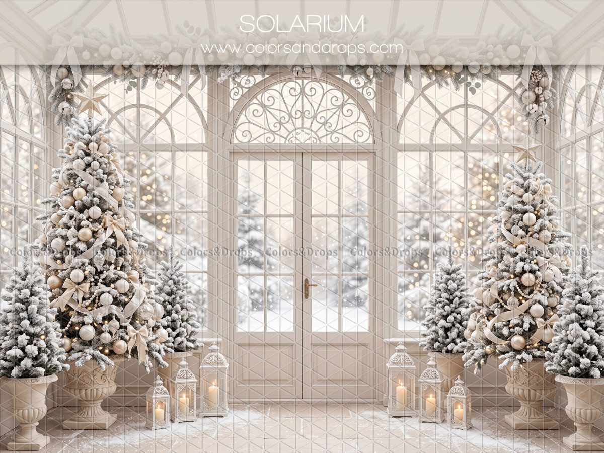 Fond photo de Noël Solarium – solarium blanc avec sapins enneigés et porte vitrée | Colors&Drops