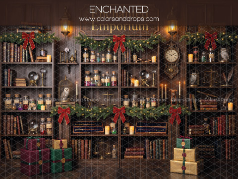 Fondo fotográfico de Navidad Enchanted – bazar encantado navideño con estantes de frascos | Colors&Drops