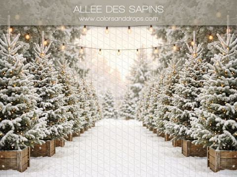Fond photo de Noël Allee des Sapins – allée de sapins enneigés avec guirlande lumineuse | Colors&Drops