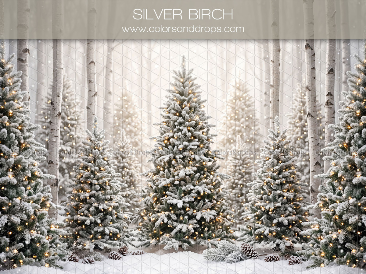 Fond photo de Noël Silver Birch – forêt de bouleaux et sapins enneigés | Colors&Drops