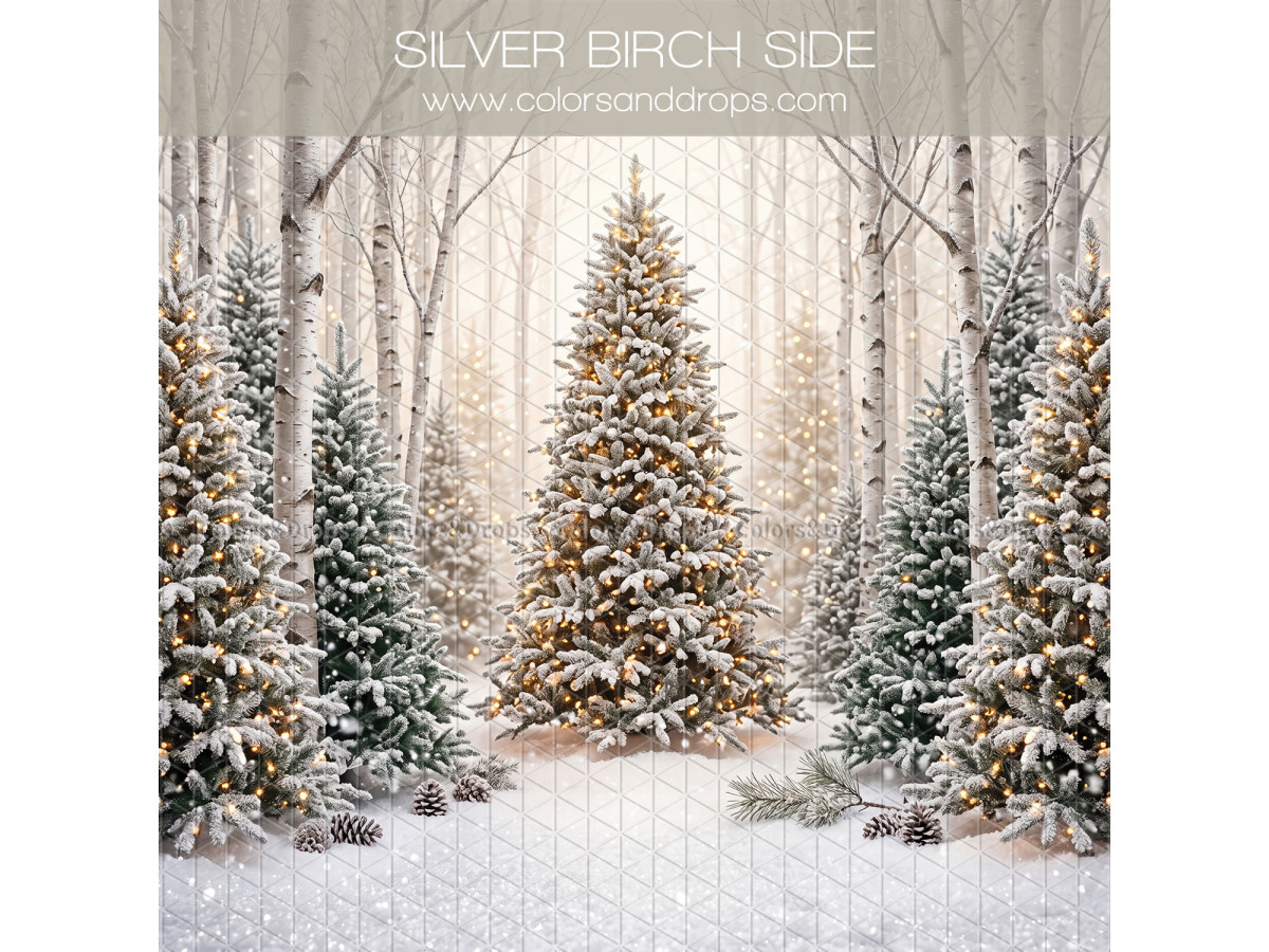 Fond photo latéral de Noël Silver Birch Side – sapins enneigés entre bouleaux | Colors&Drops