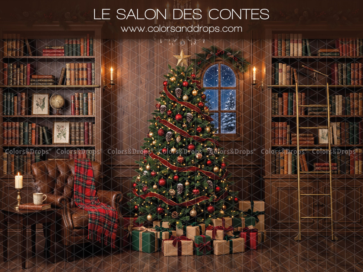 Fond photo de Noël Le Salon des Contes – salon des contes avec sapin et bibliothèques | Colors&Drops