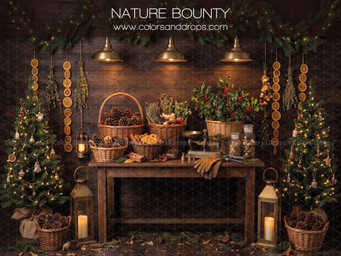 Fond photo de Noël Nature Bounty – table de récolte avec paniers et oranges séchées | Colors&Drops