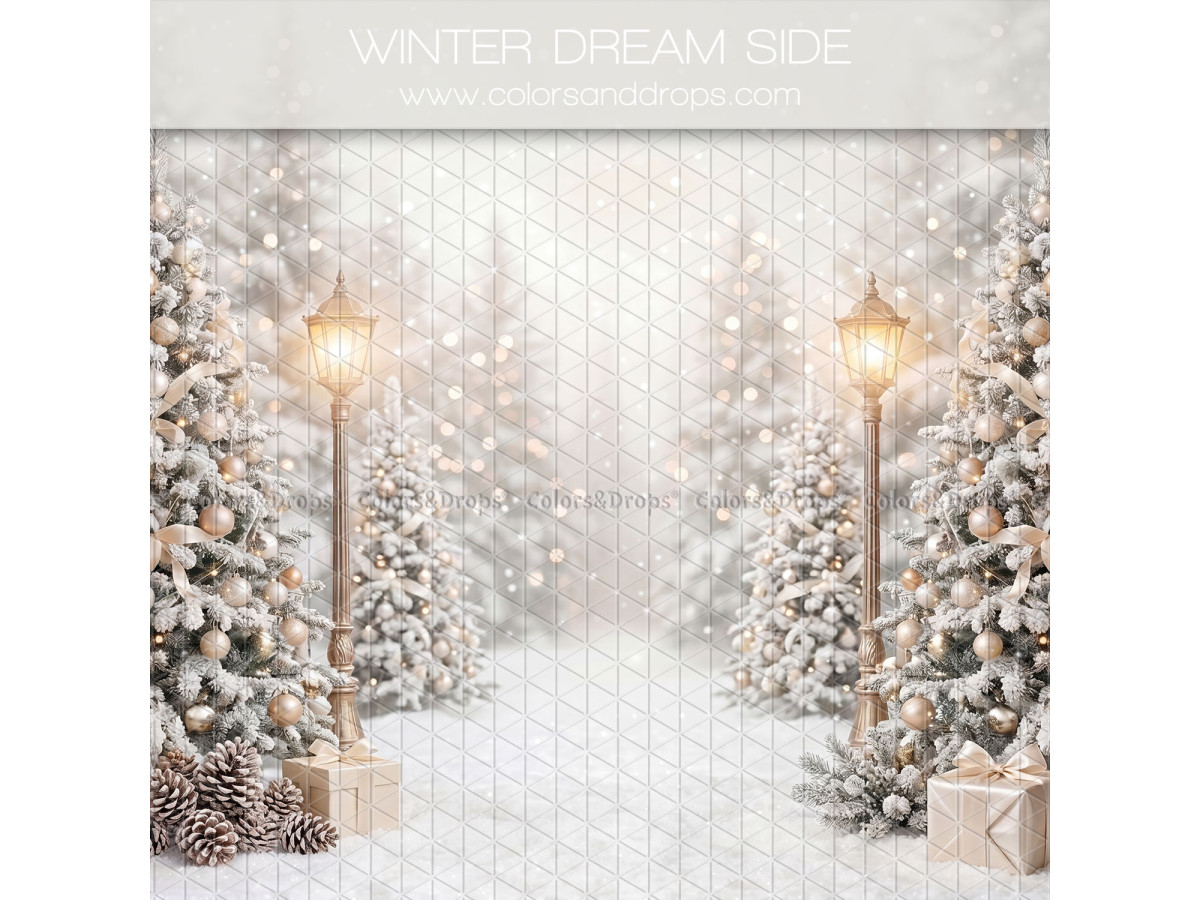 Fond photo latéral de Noël Winter Dream Side – allée de sapins enneigés avec lampadaires | Colors&Drops