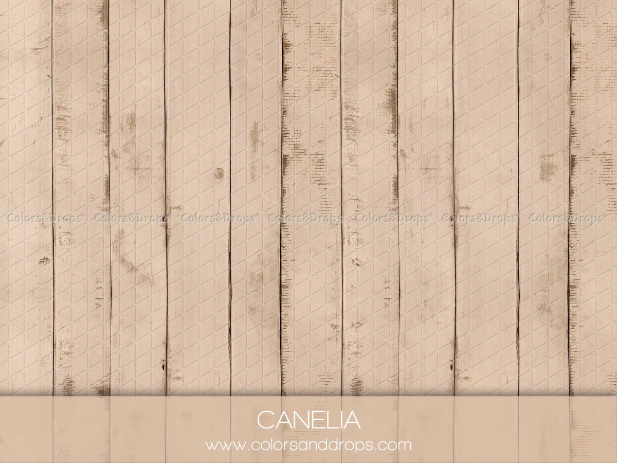 Fond et sol photo de Noël Canelia – planches de bois blanchi clair | Colors&Drops