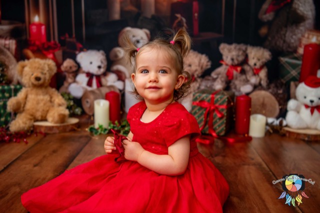 Cheminée, Ours en peluche, Sapins de Noël
