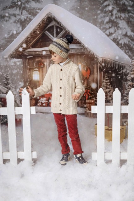 Chalet enneigé, Décoration de noël, Fond photo