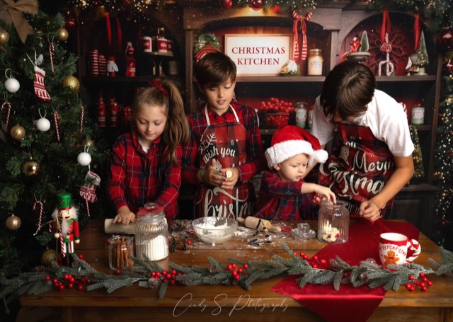 Etagères de cuisine, Sapins décorés, Fond photo