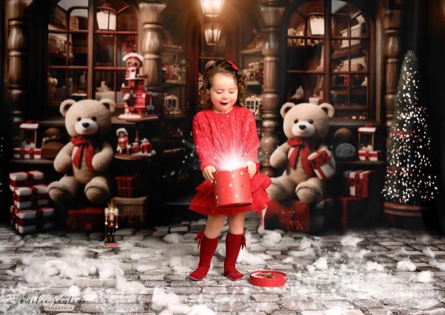 Devanture de magasin, Sapins de noël, Ours en Peluche, Fond photo