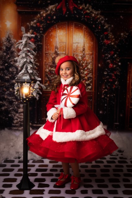 Devanture de porte décorée pour Noël, Fond photo