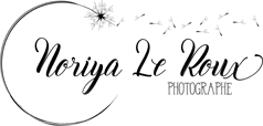 Logo Noriya Le Roux